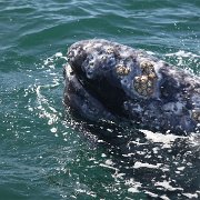 IMG 0001 2 (256)